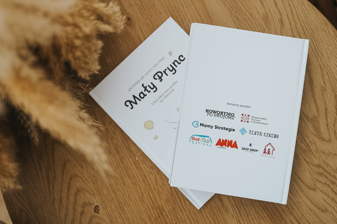 „Mały Prync" – książka, która ocalić może język naszych babć